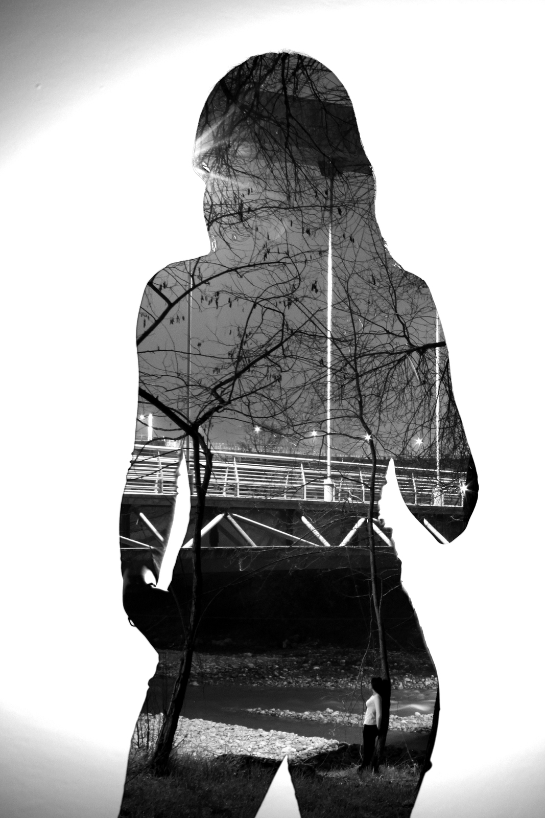 Silvia Fea